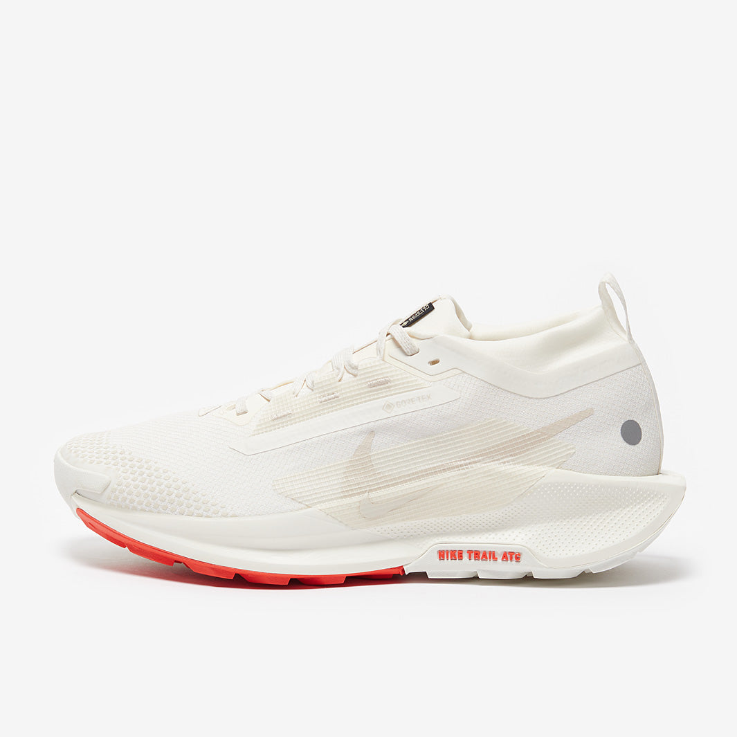 Nike Pegasus Trail 5 GORE-TEX