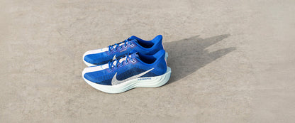 Nike Pegasus Plus