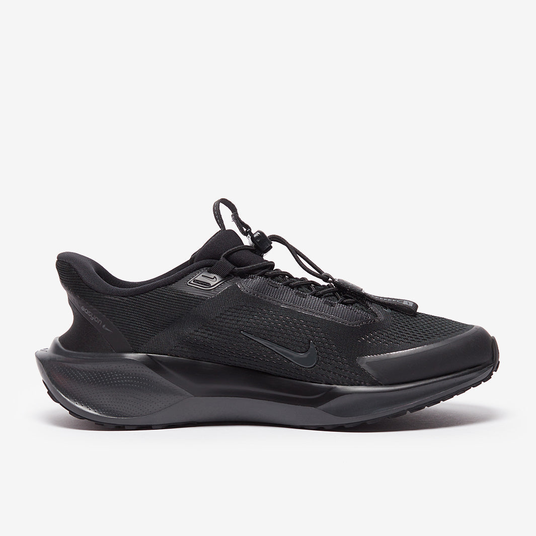 Nike Pegasus Easyon