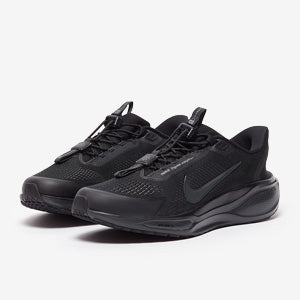 Nike Pegasus Easyon