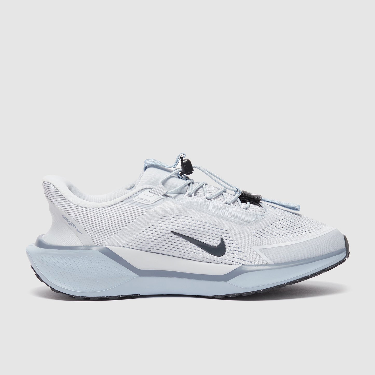 Nike Pegasus Easyon