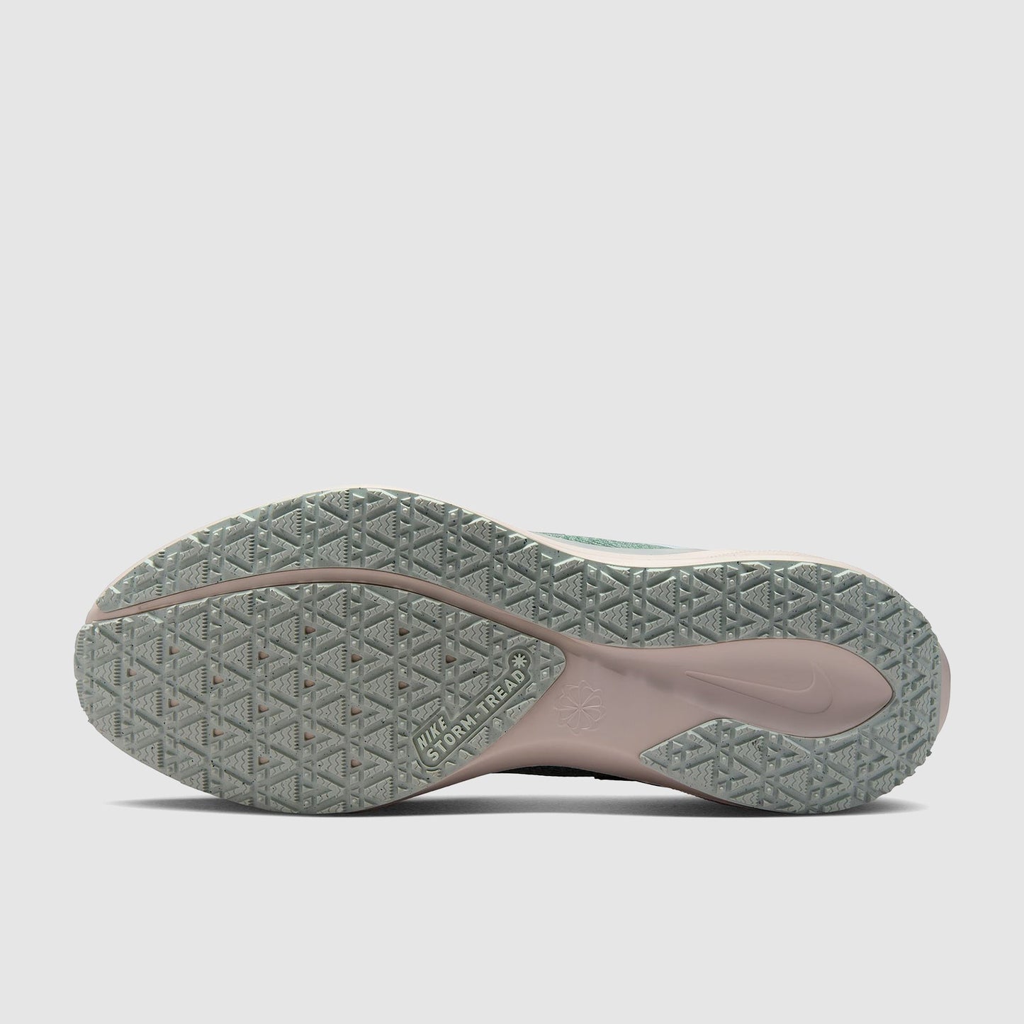 Nike Pegasus 41 GORE-TEX Waterproof