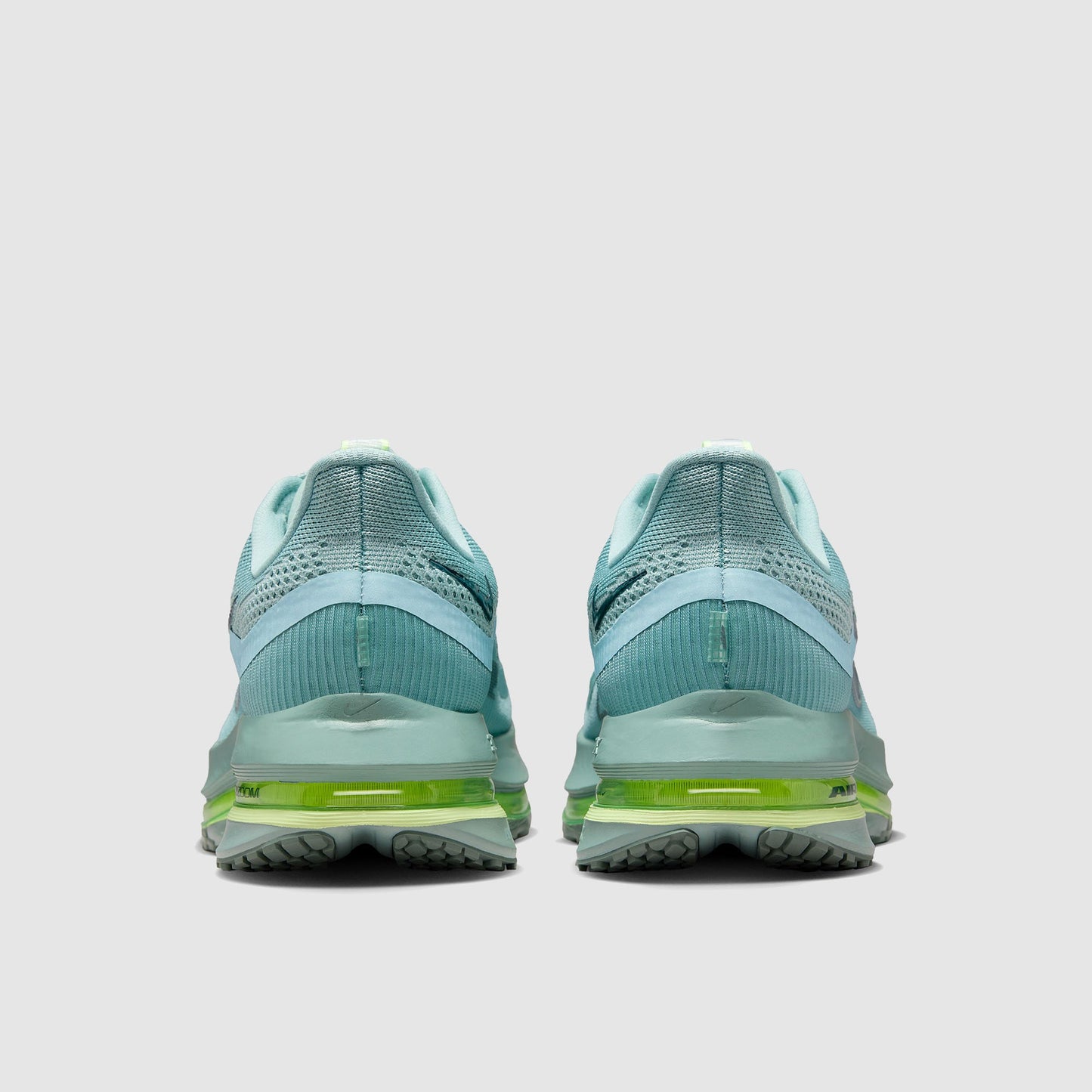 Nike Pegasus Premium