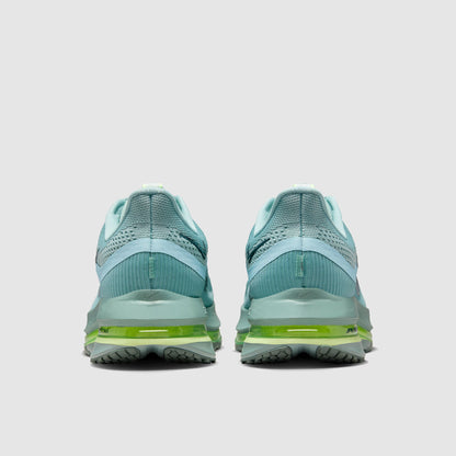 Nike Pegasus Premium
