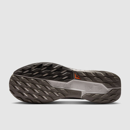 Nike Pegasus Trail 5 GORE-TEX Waterproof