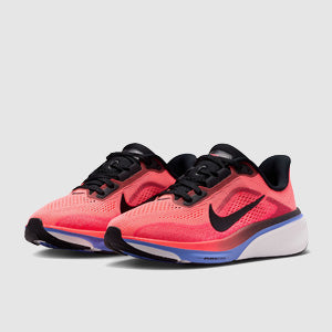 Nike Older Kids Pegasus 42 (GS)
